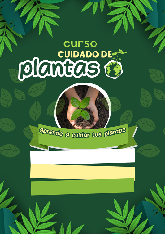 SI TE CANSASTE DE MATAR TUS PLANTAS ESTO ES PARA VOS